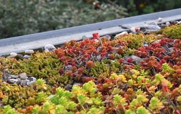 the cost of Whiteface green roof installation
