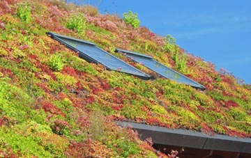 Whiteface living roof systems